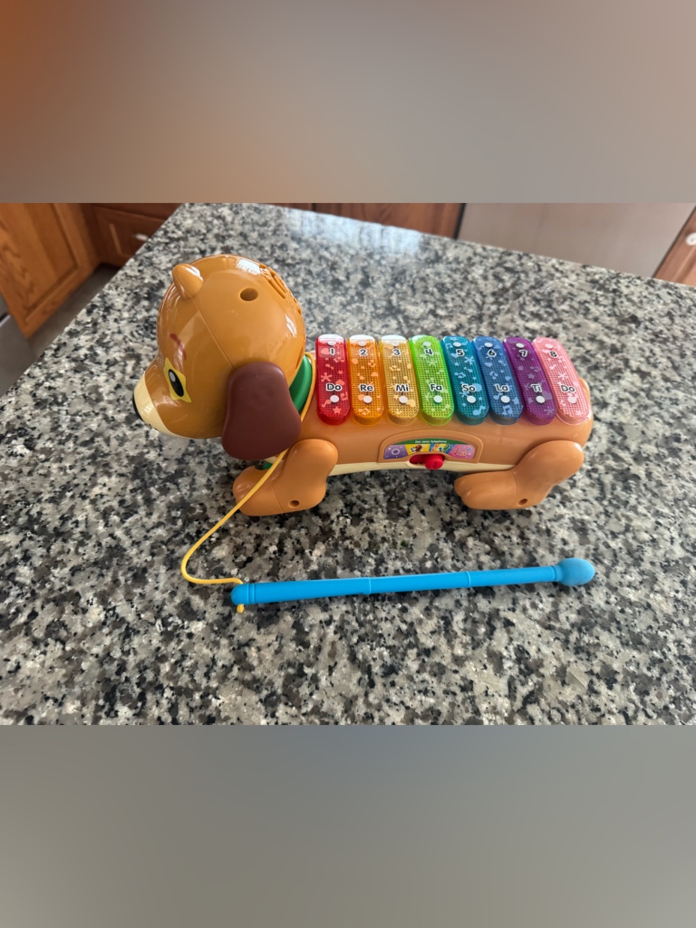 Interactive Rainbow Puppy Xylophone Toy - Brown
